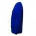 Boys & Girls Crew Neck Sweat Schoolwear (Royal Blue)